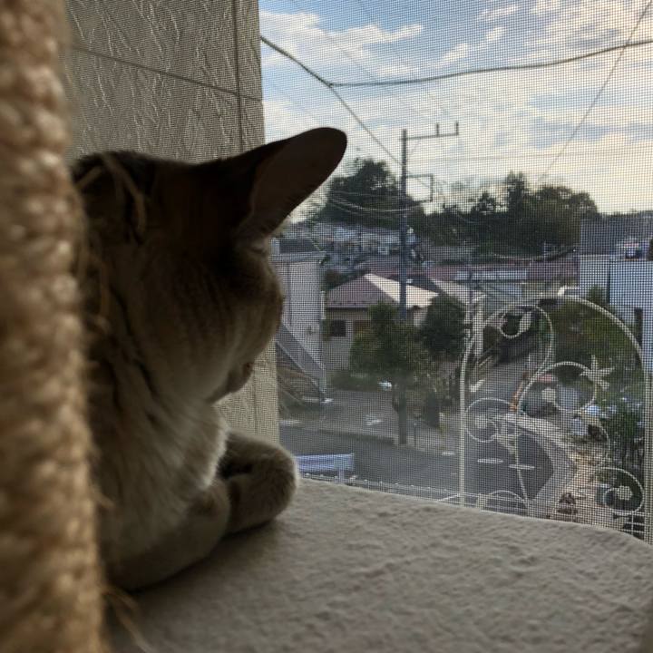 Fcaf20cd 4d89 4bb7 a96c f4c95cd8217d 1539499784751