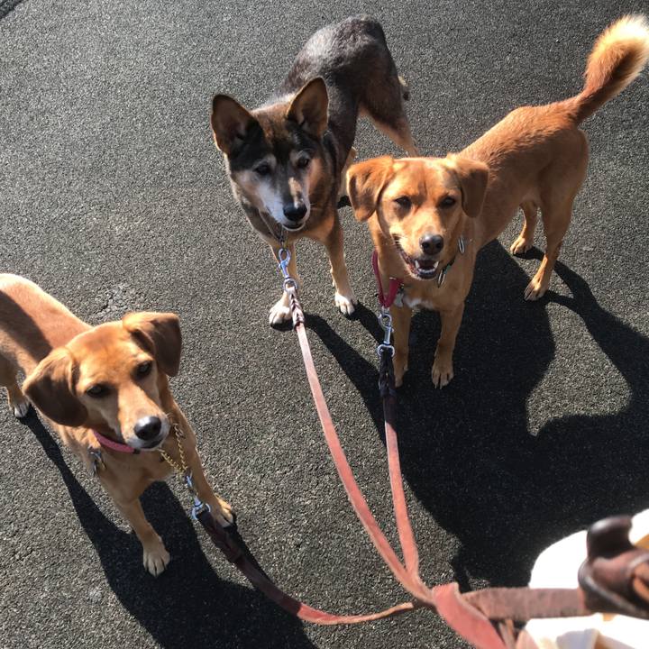 Fcaf2201 a323 4aa8 ac34 96166dead933 1510022231515