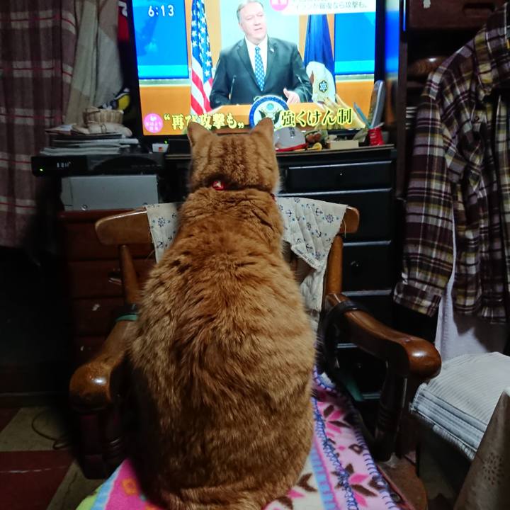 Fcaf2e4b 2be8 46ff a5bb cf7771003094 1578434166726