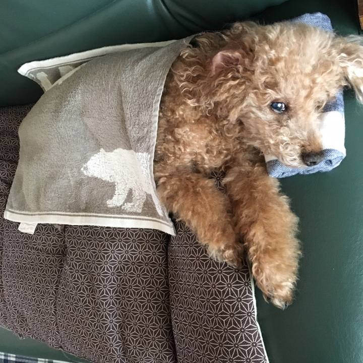 Fcafc8da 5225 4784 b32c 87ff7f992202 1564830212373