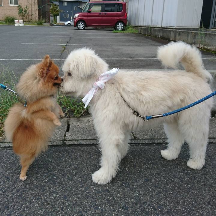 Fcaffa90 8f93 4b85 8b37 06befad20cdf 1568036266918