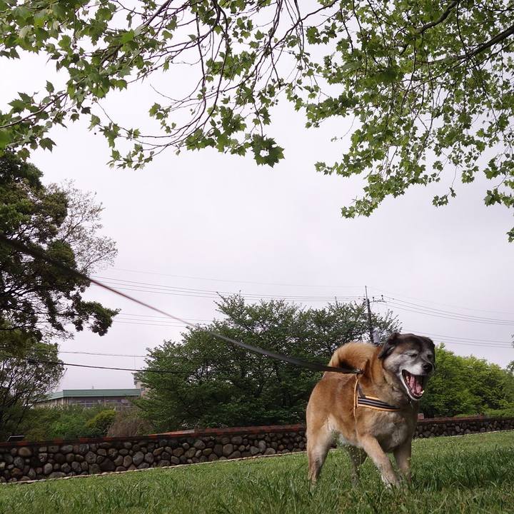 Fcb00827 7477 4aa3 81ce c6970b40cee9 1666229247305