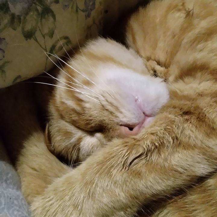 Fcb00fdd ecb5 4f7a 8b44 36feb37b911c 1663934223344