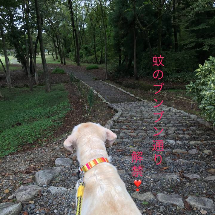 Fcb07f6c 28bd 4863 8684 c5a8c70aee79 1508479312519