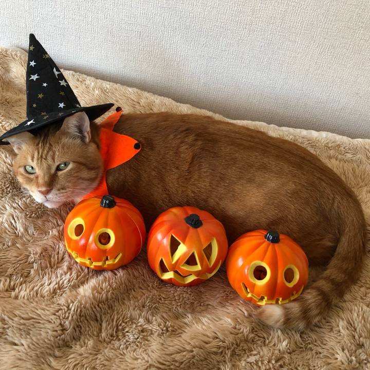 Fcb09f7e 89fd 4b40 ad79 6805c664716c 1635037063189