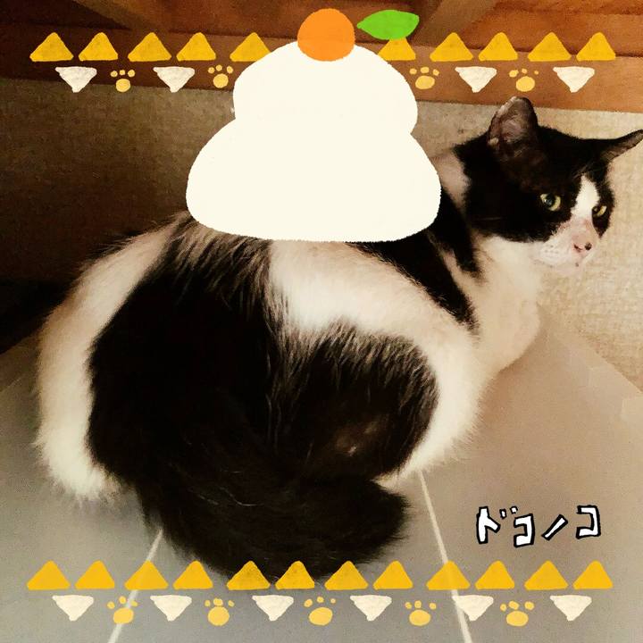 Fcb0a73f 1e92 490d 89e1 73eeb189343b 1704162732224