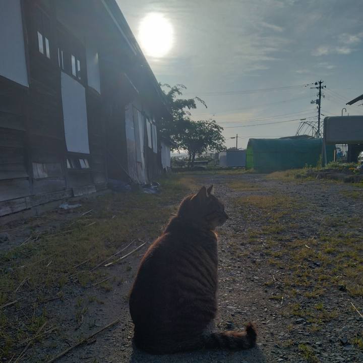 Fcb0c9ac 1e42 44f9 a3ef 8f3c63dfe41c 1684963272608