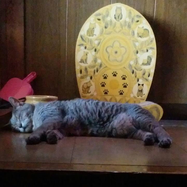 Fcb0e4e1 d6de 42c4 8574 8183e20fdaec 1597547612457