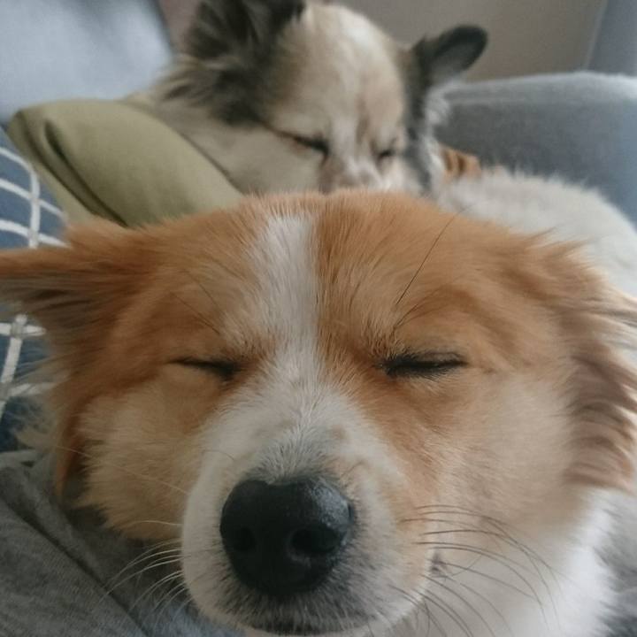 Fcb15183 985c 4a05 828d 0c76ad1f03a1 1550320579025