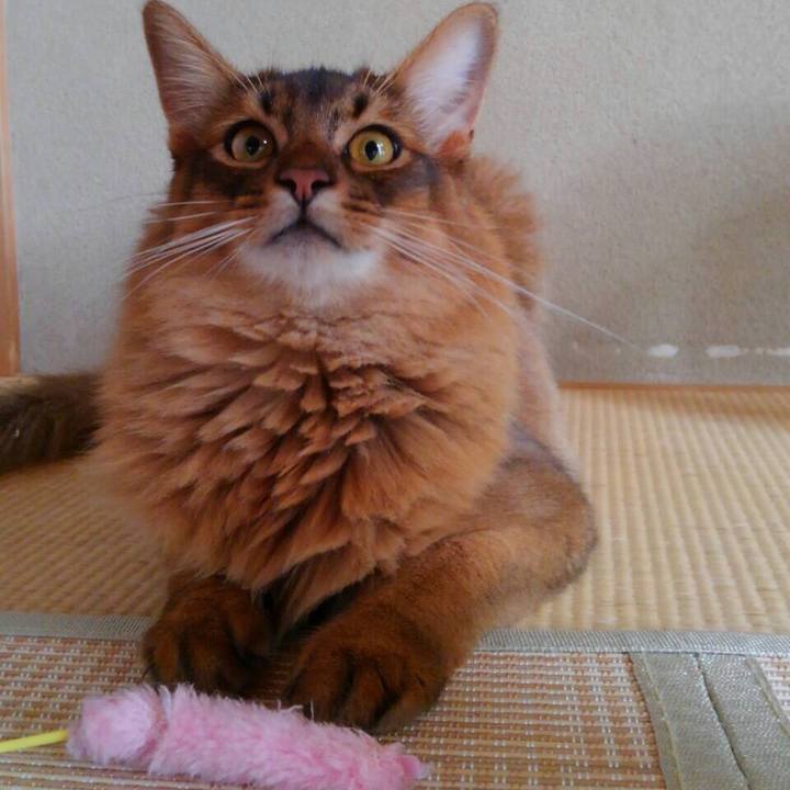 Fcb18668 9f59 4500 b52f 0fad015de246 1593397513427