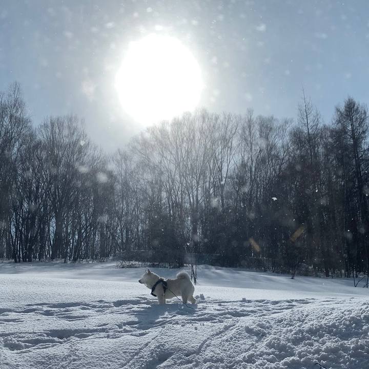 Fcb1abbd 394c 4925 82c7 5148702bd879 1646020787116