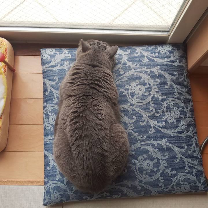 Fcb1b258 b325 4757 914b 8650f81e4e67 1557806336624