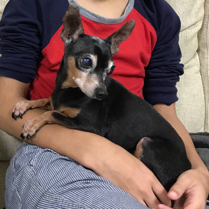 Fcb1c4ab 63f2 431c a1ef 21ed884d9486 1509252663283