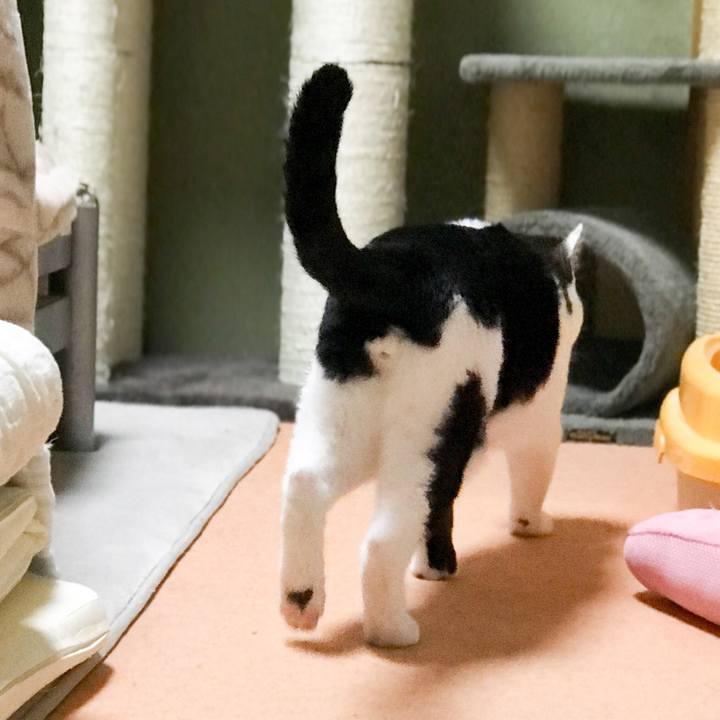 Fcb21fbd 6e91 4eeb b5b5 3c58d9a9e438 1526869190446