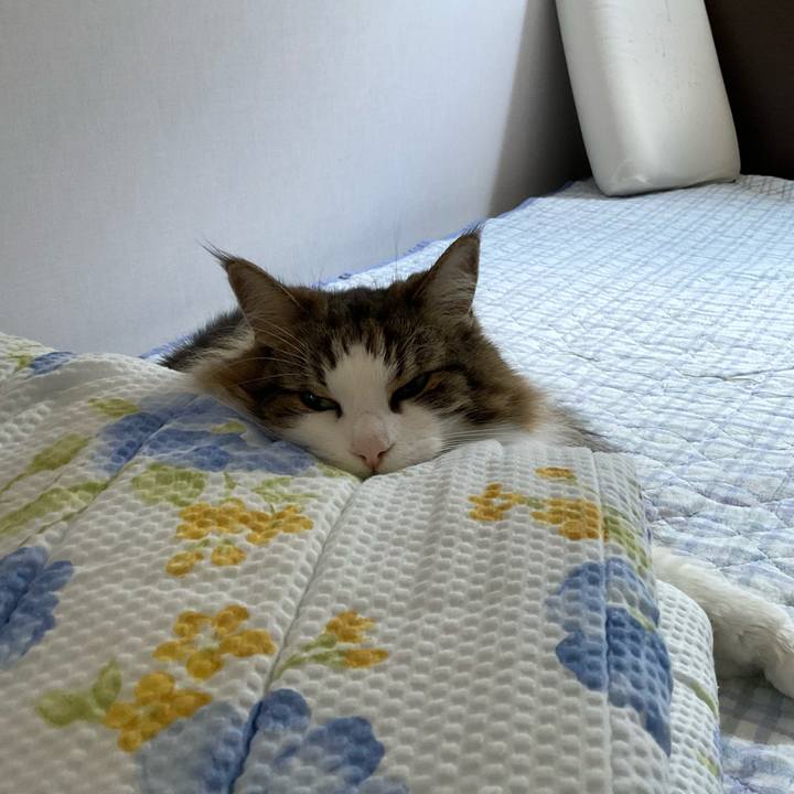 Fcb22ba6 cdfe 4c56 8b2d a8f2284180b0 1750232894835