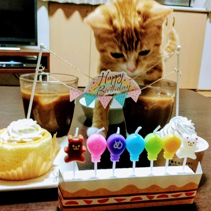 Fcb232b0 49a4 49dd 8f91 c7a38d3ca7b1 1623671888483