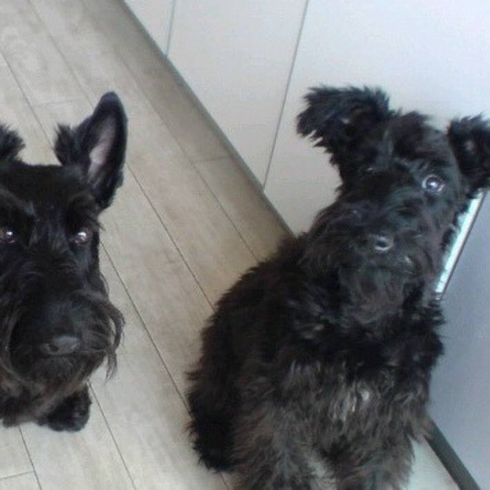 Fcb24ed6 fce6 4e3e bd64 19b4d2e6fe32 1535262281701