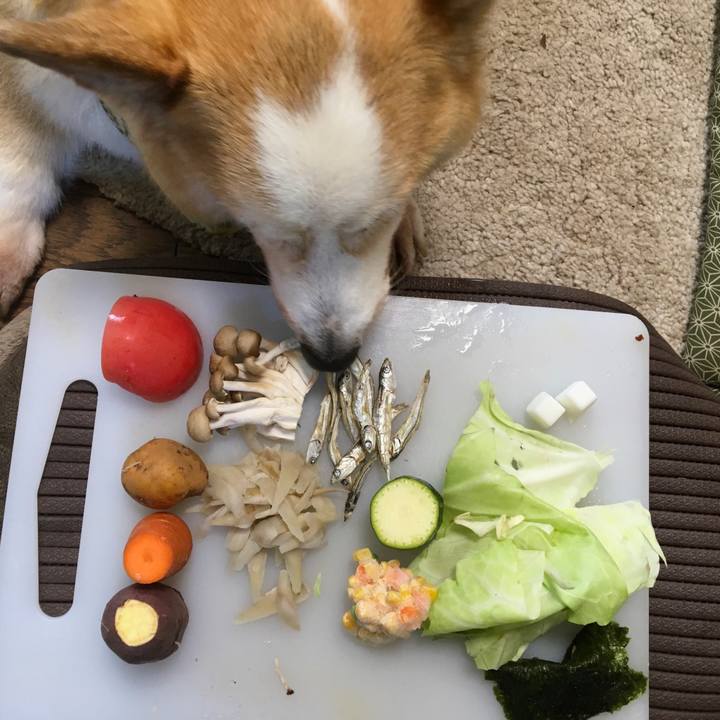 Fcb2e23f 41fd 4d2f abb8 e8981aec49e0 1564366823112