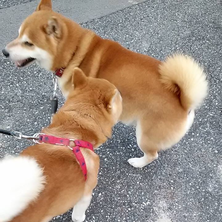 Fcb2e7fb 725e 436d 9aec ba48e23309d3 1643529398706