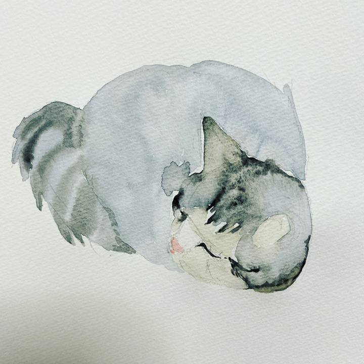 Fcb32c11 c392 4c3a a83c da6bd45aefe5 1609661811478