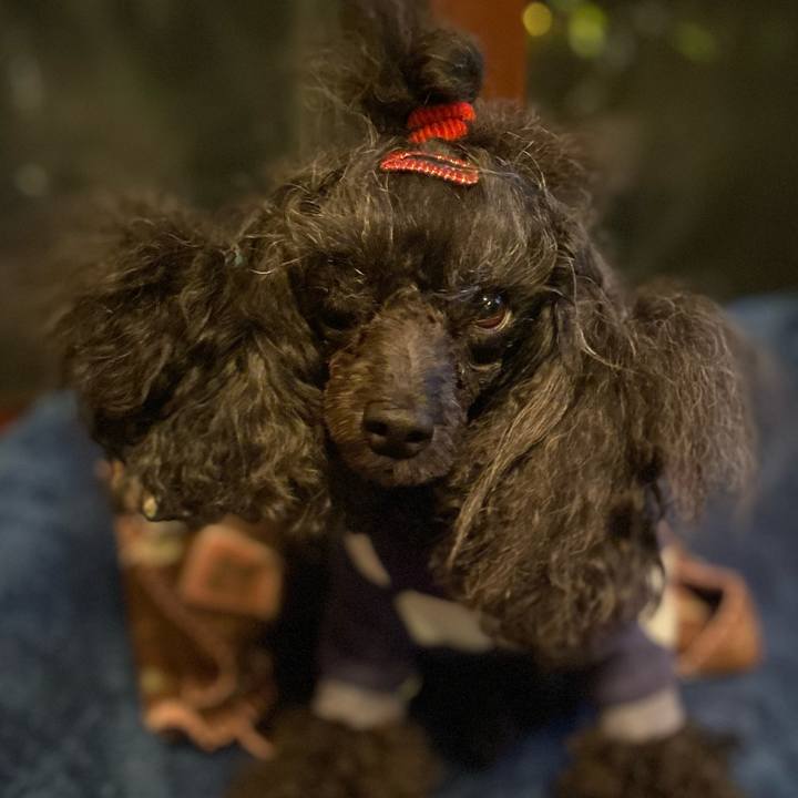 Fcb358ea cfd0 4b01 bba8 2b6a4c415f32 1665137116202