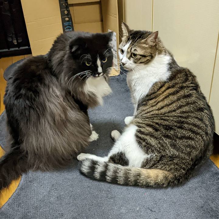 Fcb36834 4c43 4223 84a0 aa68679688b0 1668946776618