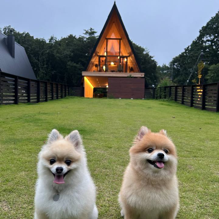 Fcb3c88f 0318 4d58 b58a 6ffeccea1cde 1757822605757