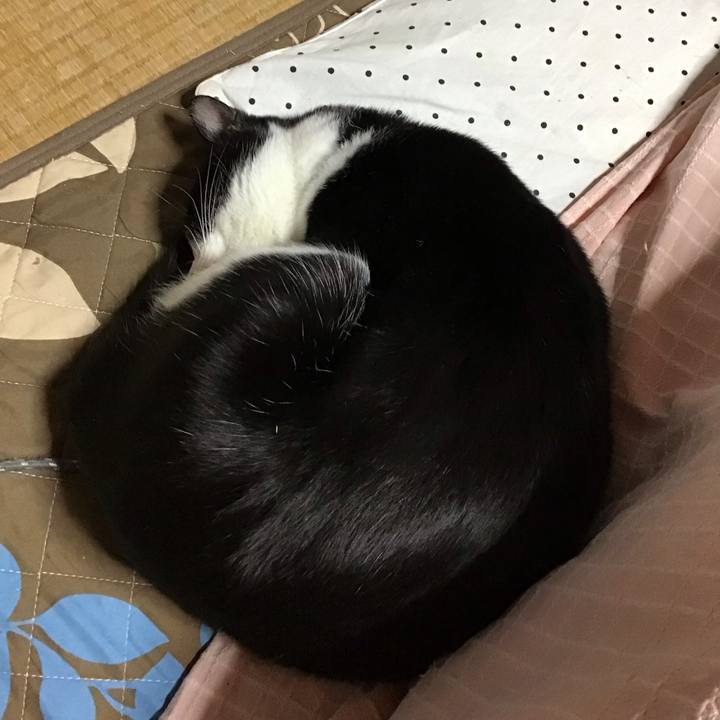 Fcb3d73b 5719 43bd b78e c18daf17c0eb 1677850692956