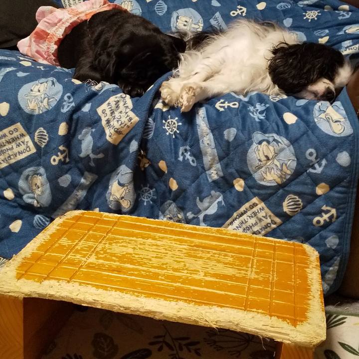 Fcb3ddaa 3e8c 4308 8f4b 090ef6d39ba0 1557933940099