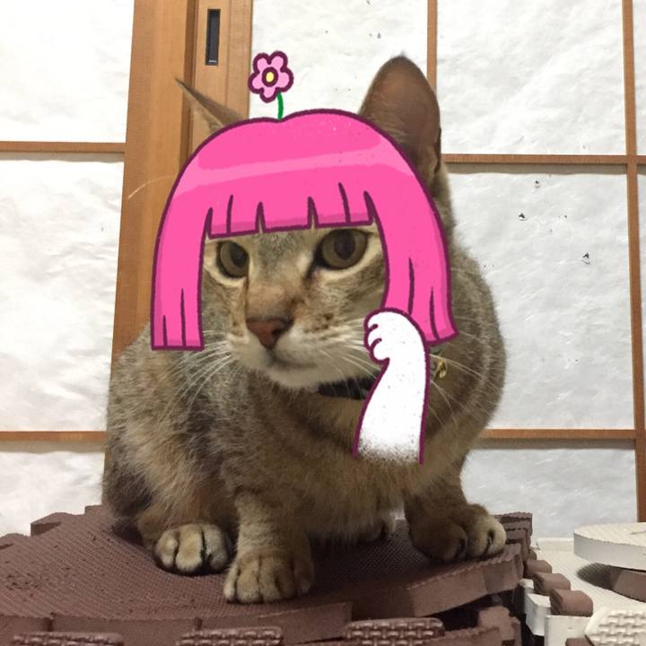 Fcb41ce7 7532 47cc 86f1 0b648aa870b0 1563469170120