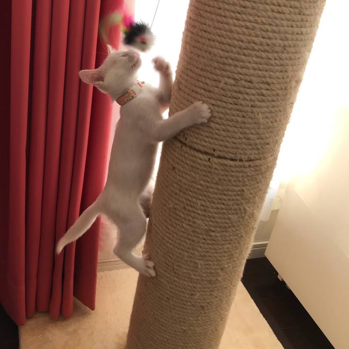 Fcb45ed6 71f7 4d2b a1cf 3b157946c44e 1565785629658