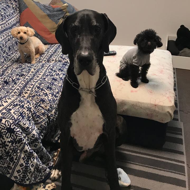 Fcb46a43 35ab 4011 bc41 09f0eff9d65e 1522882063619