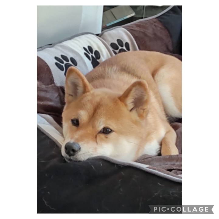 Fcb495fa 32eb 4fc3 89e6 15cbd41eeca9 1677632656449