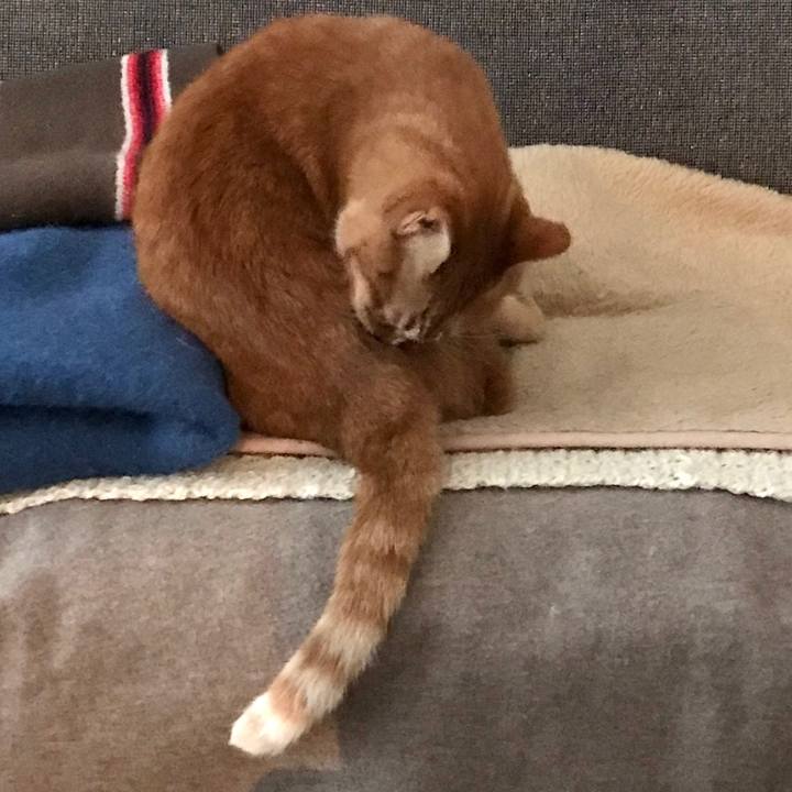 Fcb4bddf 5f31 4648 a092 271493098173 1579592491709