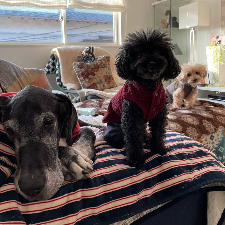 Fcb4be98 d720 4e7b b65f e8474d6c1a81 1646260715966