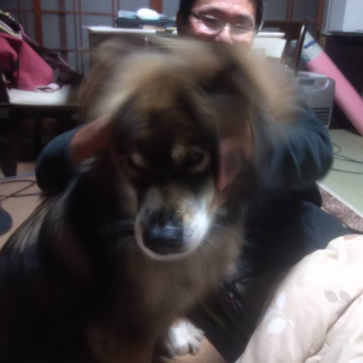 Fcb4de00 7e86 4229 afa9 e3928fa45f71 1637908742966