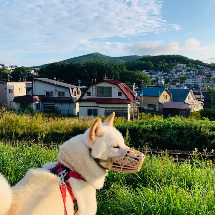 Fcb52a3b 1fc8 4901 a9ba a180e1ad1aaf 1566426820281