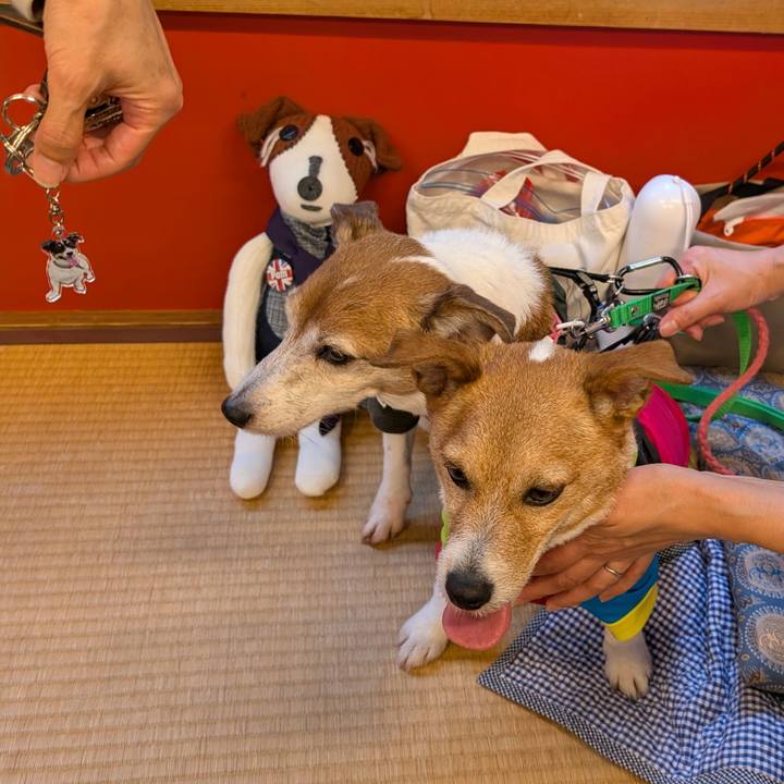 Fcb53f80 f504 468e ae76 18b9638a51e0 1747450476816