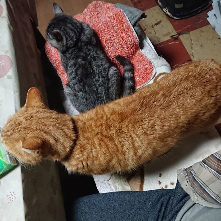 Fcb57775 e010 4977 81fd 4254b8d91354 1580726477966