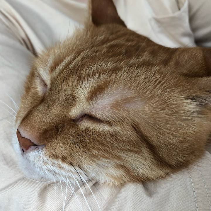 Fcb5a30e 19c6 46d6 96d9 84b323a0de2f 1653632688779