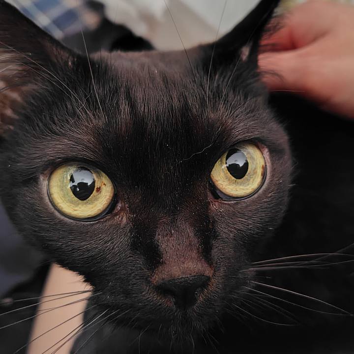 Fcb5a6f8 5ecb 49b9 8b10 fd22aba65a20 1742972852015