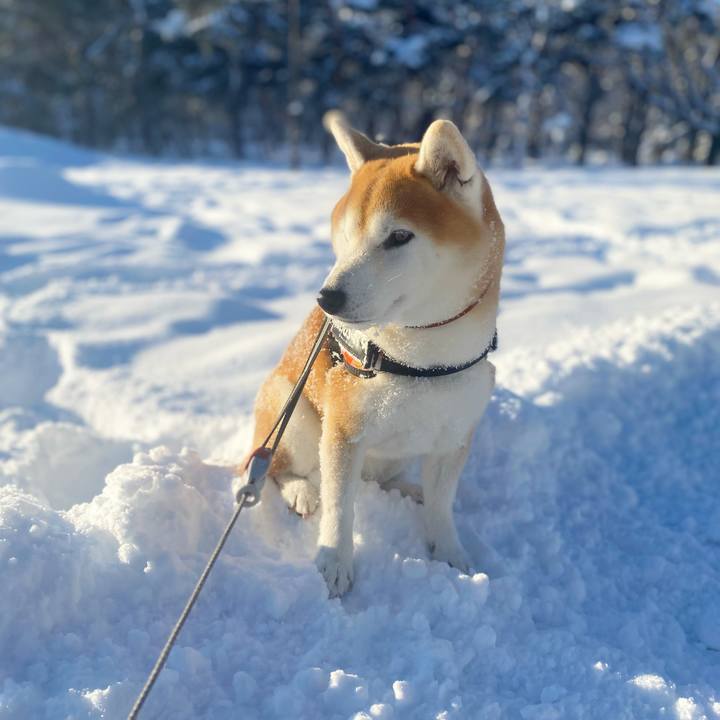 Fcb5ad3b 4daf 4726 b98e d7fde78f6cb7 1673924954317