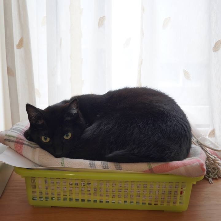 Fcb5af75 b7c8 4311 9af5 cc4c59e0ed4d 1611844641181