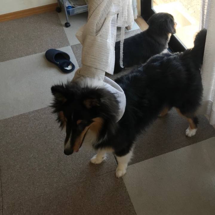 Fcb5bc9f 2902 438a 9140 701e5e081501 1557922489603