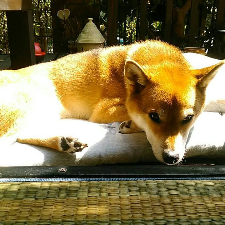 Fcb5fe79 c0d6 44c7 a6f2 cb0f311d2401 1566620931076