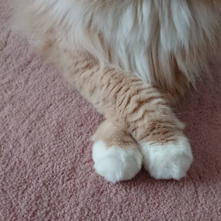 Fcb6407c 938b 4449 87a0 01d007114fe2 1536018442594