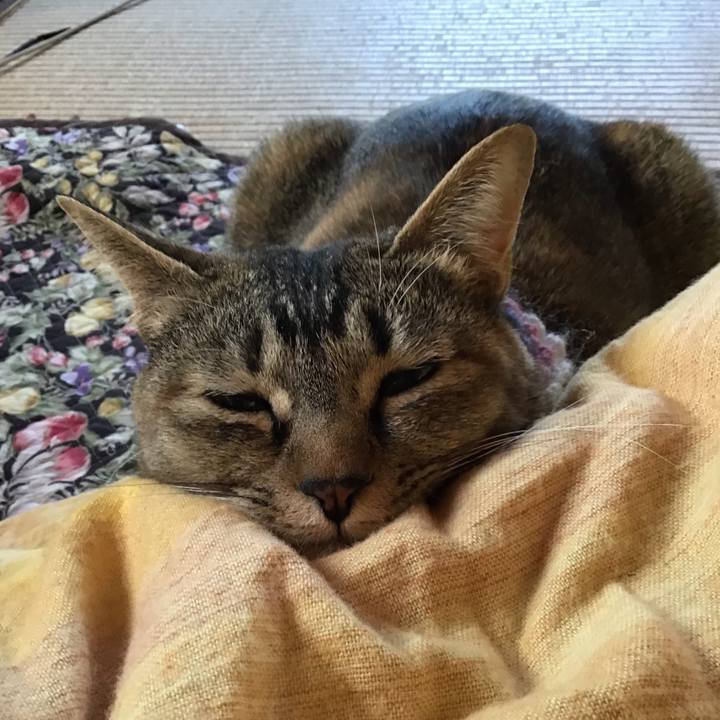 Fcb6751e f14d 42a5 93da eba34988dbf4 1619479127914