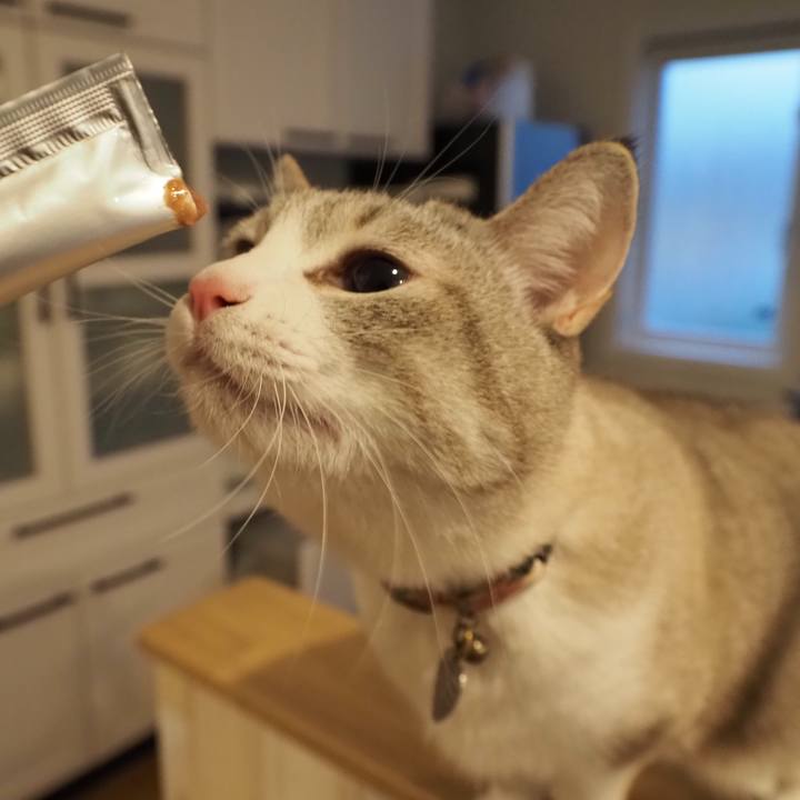 Fcb67f72 5e0e 444f 9604 571d973326b9 1611913790437