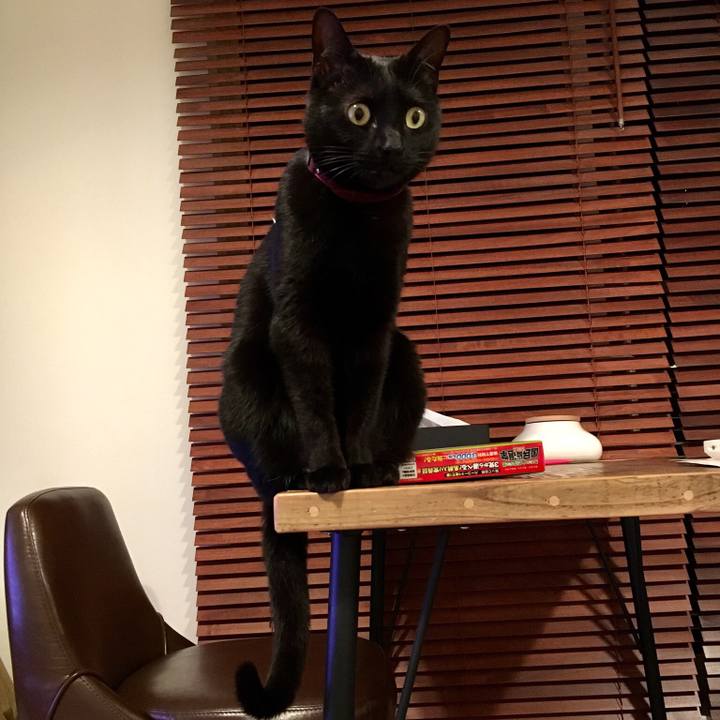 Fcb6f5f1 0767 4812 a5c9 b96f902b72a1 1520336384505