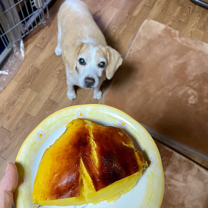 Fcb71a74 6377 4fdb b21c 5ab932e18a94 1621077156844